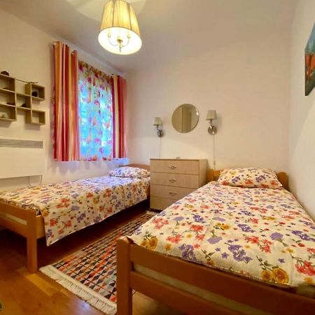 Apartment Liza Petrovac 外观 照片