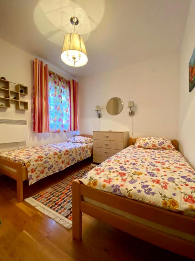 Apartment Liza Petrovac 外观 照片