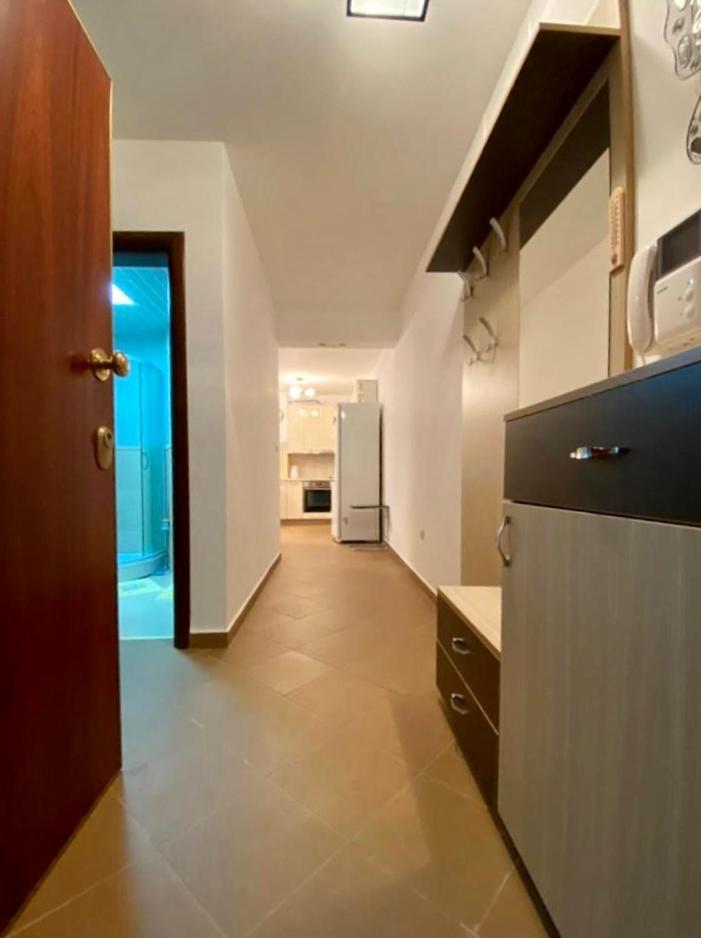 Apartment Liza Petrovac 外观 照片