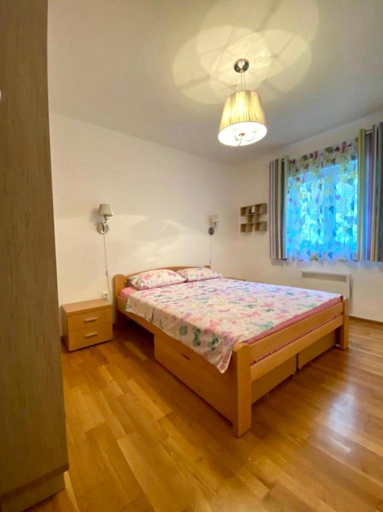 Apartment Liza Petrovac 外观 照片