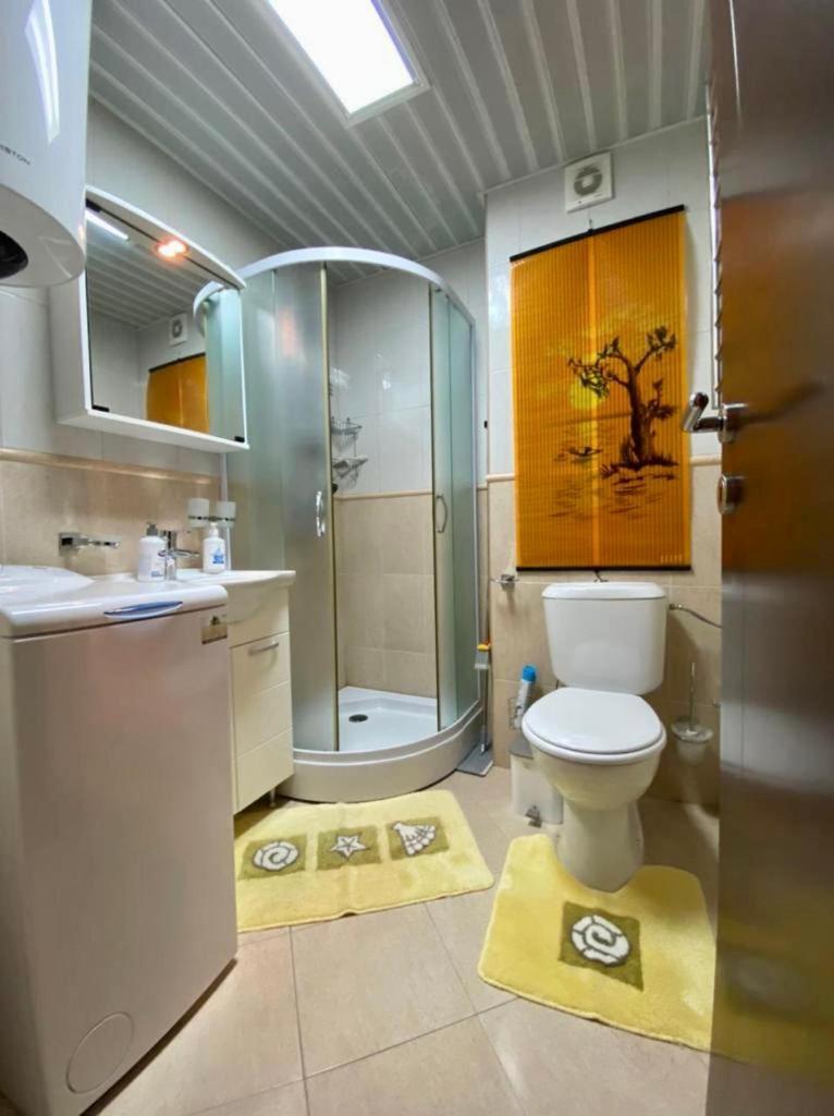 Apartment Liza Petrovac 外观 照片