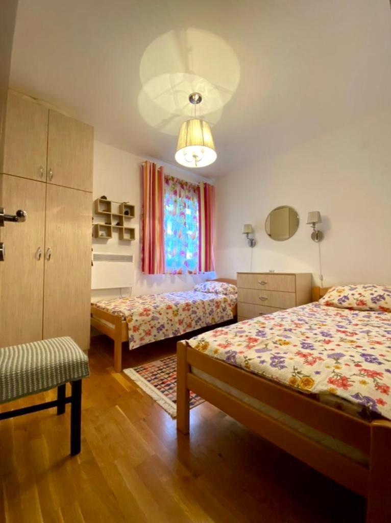Apartment Liza Petrovac 外观 照片