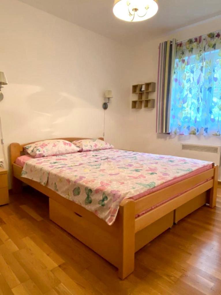 Apartment Liza Petrovac 外观 照片
